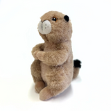 Plush Prairie Dog - Wall Drug Store