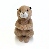 Plush Prairie Dog - Wall Drug Store