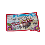 50 States Outline Foil Magnets - Wall Drug Store