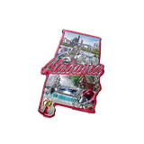 50 States Outline Foil Magnets - Wall Drug Store