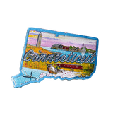 50 States Outline Foil Magnets - Wall Drug Store