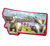 50 States Outline Foil Magnets - Wall Drug Store