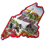 50 States Outline Foil Magnets - Wall Drug Store