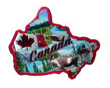 50 States Outline Foil Magnets - Wall Drug Store