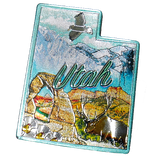 50 States Outline Foil Magnets - Wall Drug Store