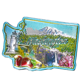 50 States Outline Foil Magnets - Wall Drug Store