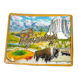 50 States Outline Foil Magnets - Wall Drug Store