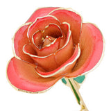 Blushed Red 24K Gold Dipped Rose - Wall Drug Store
