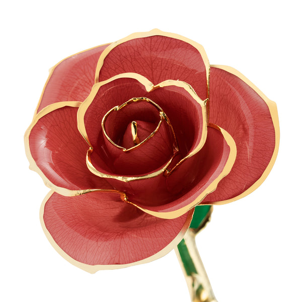Evening Coral 24K Gold Dipped Rose - Wall Drug Store