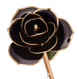 Diamond Black 24K Gold Dipped Rose - Wall Drug Store