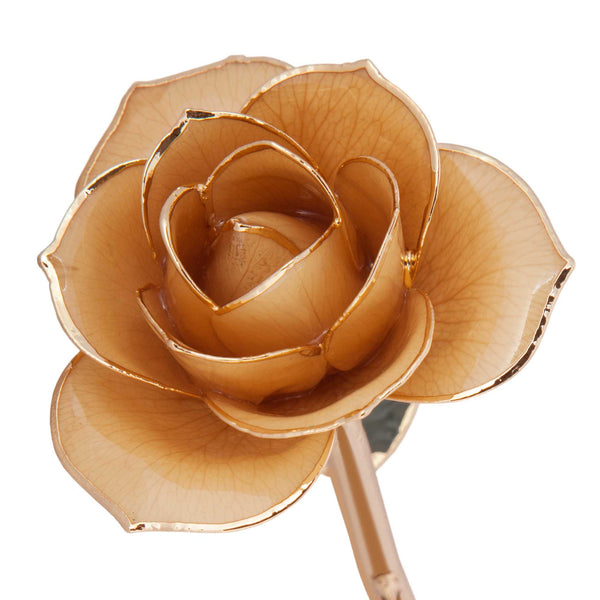 Sweet Cream 24K Gold Dipped Rose - Wall Drug Store