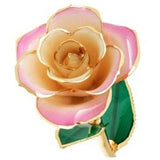 Blushed Pink 24K Gold Dipped Rose - Wall Drug Store