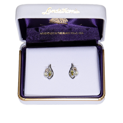 Landstrom's Black Hills Gold & Silver Birthstone Post Earrings - November - Wall Drug Store