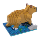 Capybara Mini Building Blocks - Wall Drug Store