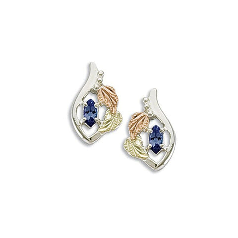 Landstrom's Black Hills Gold & Silver Birthstone Post Earrings - December - Wall Drug Store