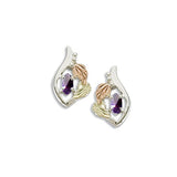 Landstrom's Black Hills Gold & Silver Birthstone Post Earrings - February - Wall Drug Store