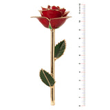 Daring Turquoise 24K Gold Dipped Rose - Wall Drug Store